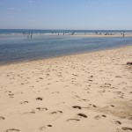 cape cod