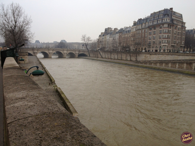 The Seine