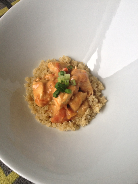 Tikka masala-ish chicken stew (3)