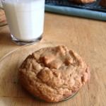 brown-sugar-cookies-29-copy