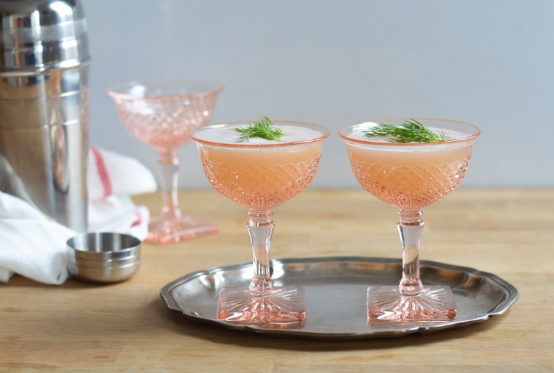 Bluecoat-Gin (3)