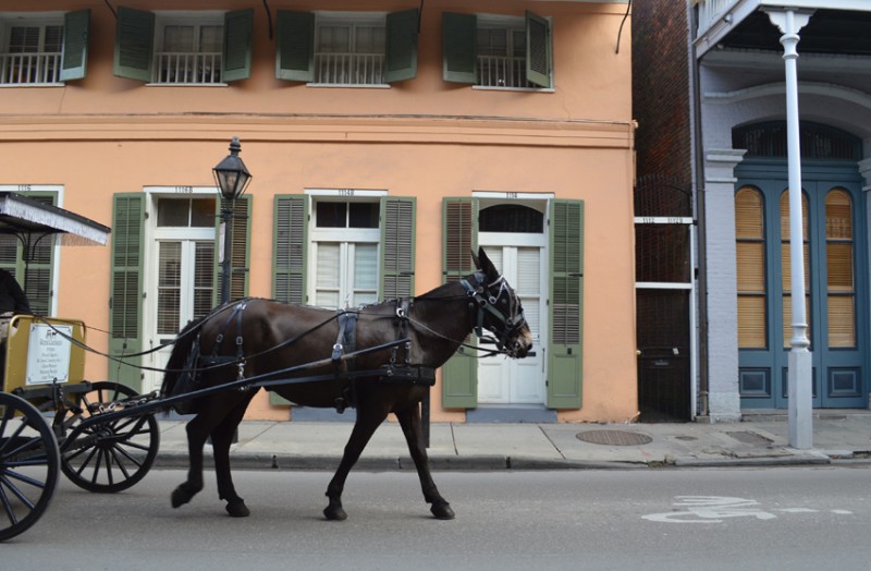 New Orleans (92)'' 1