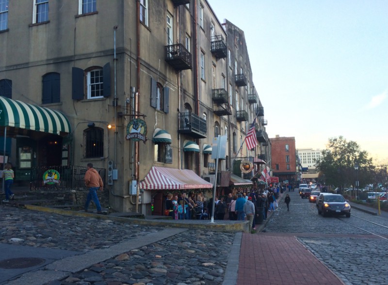 Savannah (2)'-1