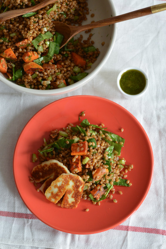 Fried-halloumi-wheatberry (4)