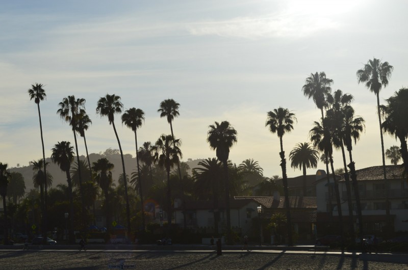 California (5)-1
