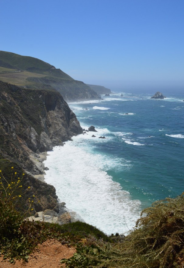 California (9)-1