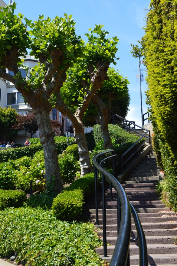 San-Francisco (2)-1
