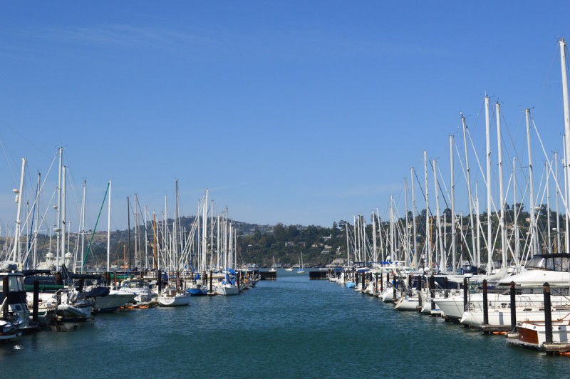 San-Francisco (5)-1'