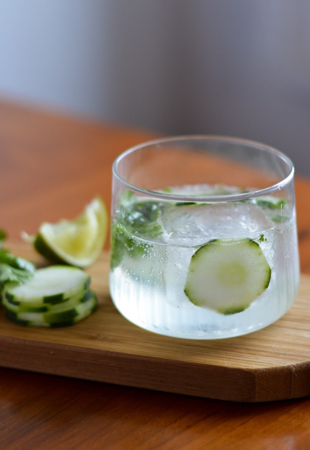 Cilantro-cucumber-gin-and-tonic (24)'-2
